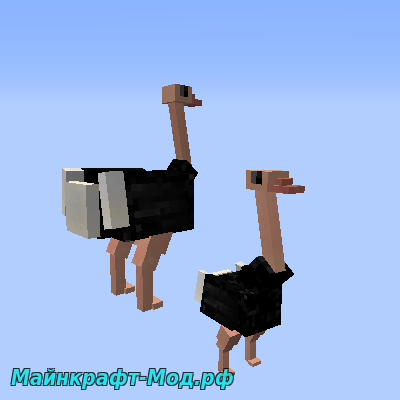 Мод на страусов для Майнкрафт